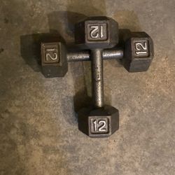12 Pound Dumbbells 