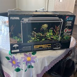 Fish Tank