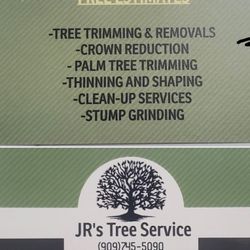 Tree ///Árboles