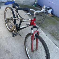 Mountain Bike 