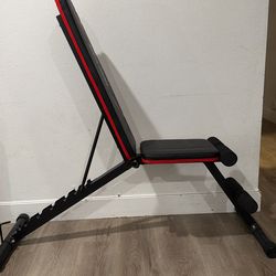 Beginner Weightlifting Set