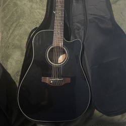 Takamine G Series 12 String