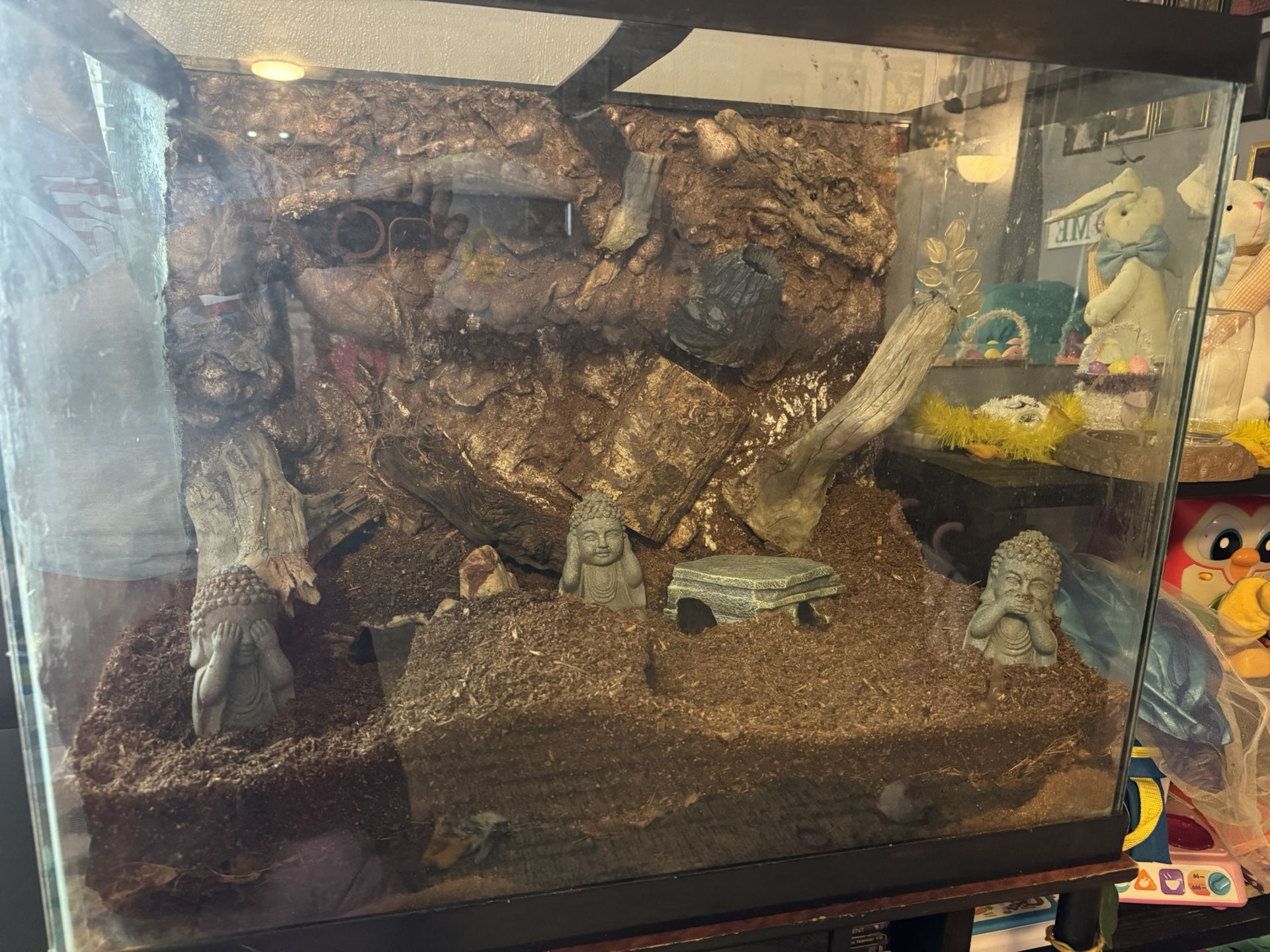 Reptile Tank