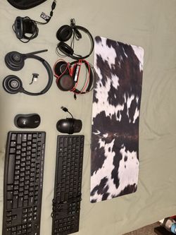 Electronic Bundle