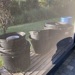 Plant Pots.  Large And Small.  45 Gallon And Larger.  $100 ALL