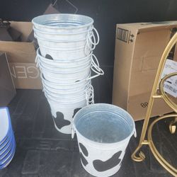 Favors 12 cow pails $24