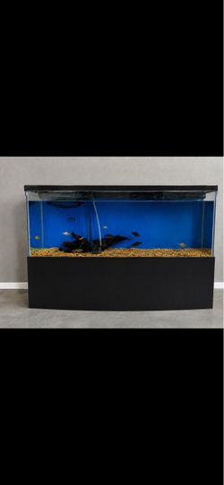 400 gallon acrylic fish tank