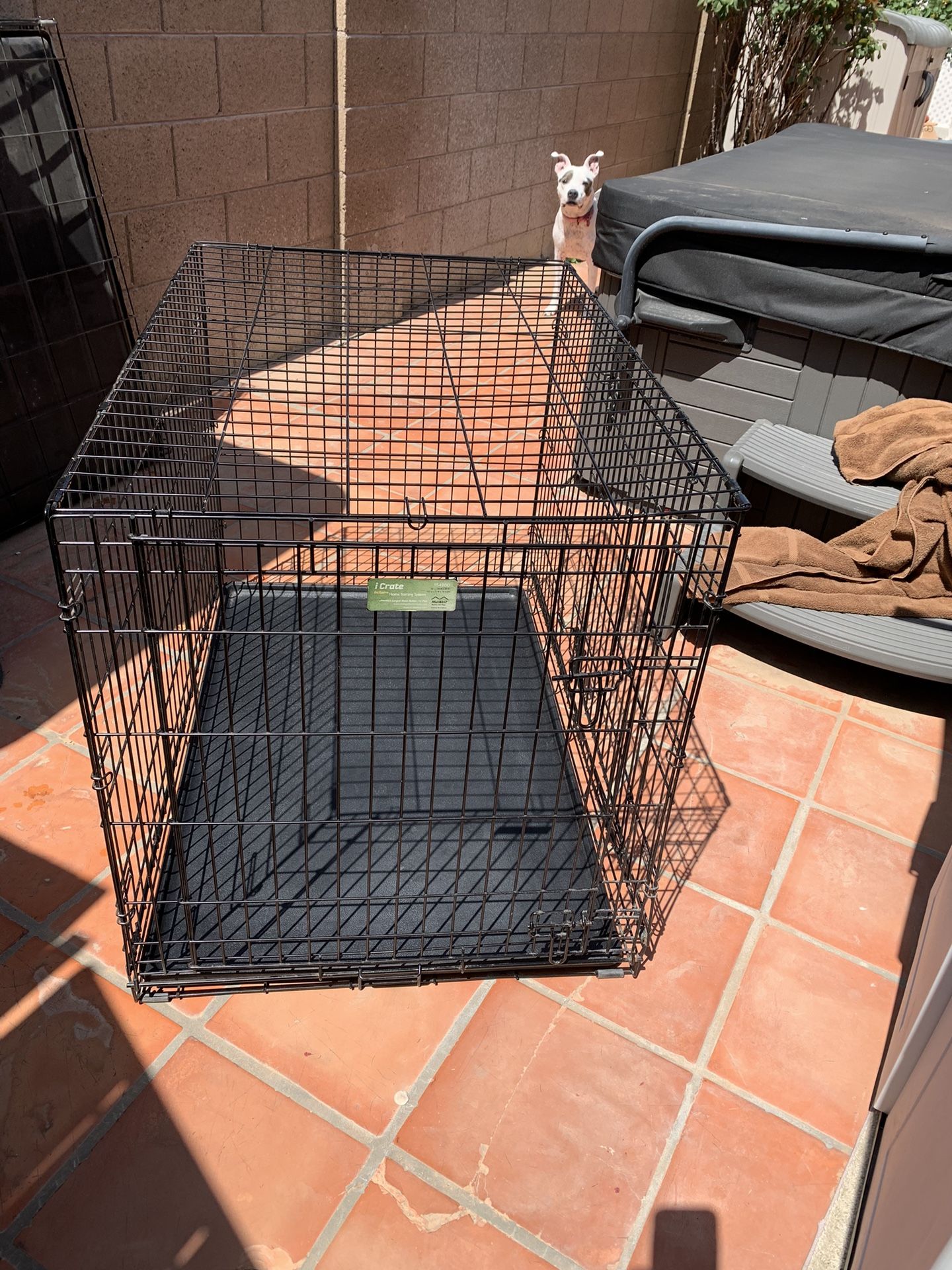 X L Wire Dog Crate 