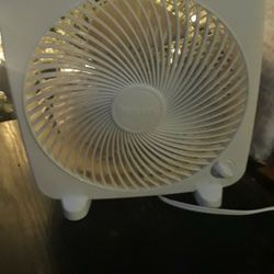 Fan