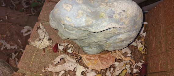 Cement Statue Figure Fountain Frog planter