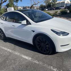 Model Y Tesla Performance
