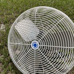 Schaefer Fan