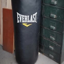 Everlast Punching Bag