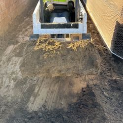 Free Dirt Free Delivery