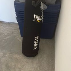 Everlast Boxing Bag
