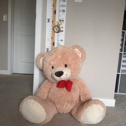 Big Teddy Bear