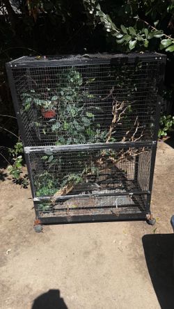 Reptile cage