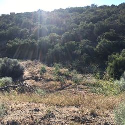Dump Dirt
