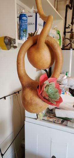 How about a gourd Christmas