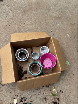 Free small planters