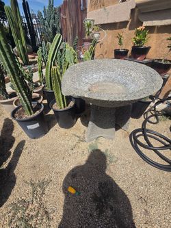 Cement bird bath