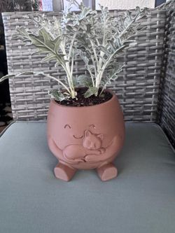 Tiestos con plantas naturales