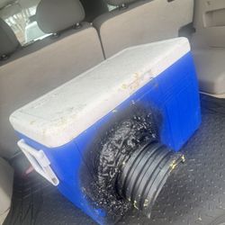 House for cats. Casa para gatos