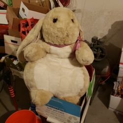 Giant Rabbit 