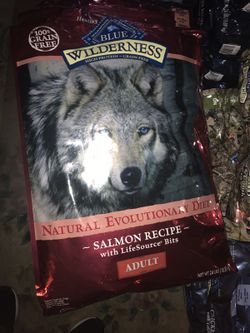 Salmon and more