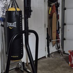 Everlast Punching Bag Set