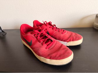 Paul Rodriguez Nike SB Size 12
