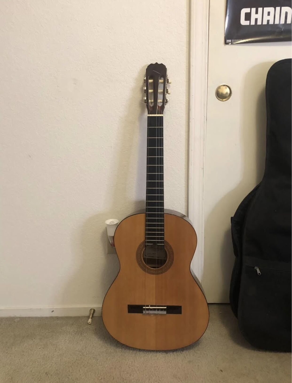 Hohner Guitar