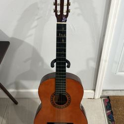 Acoustic Guitar 