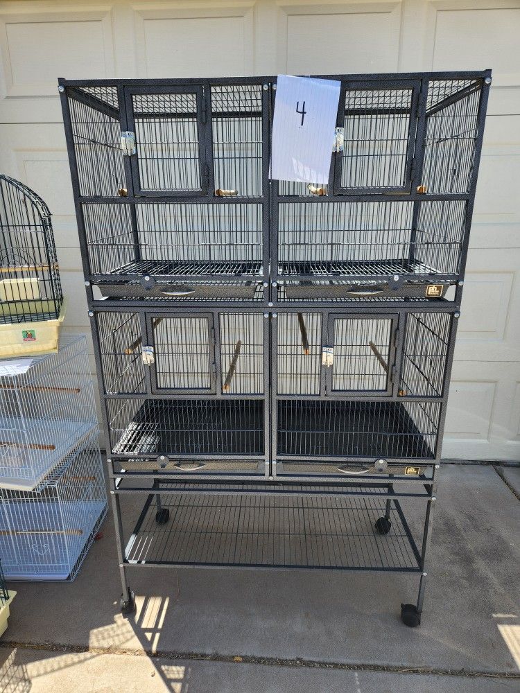 Bird Cage