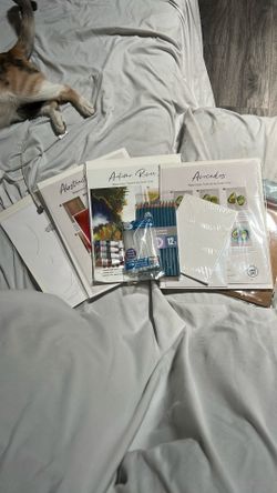 Painting sheets
