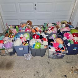 Squishmallows, Box Of Multiple Random