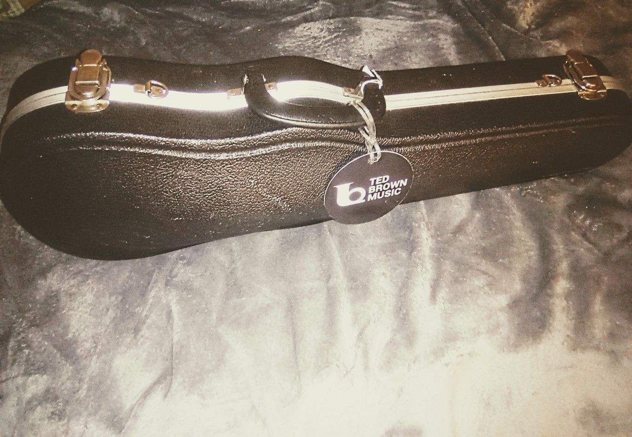 Violin Case
