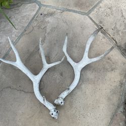  Bone Antlers