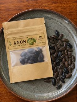 Sugar Apple Seeds – Anón – 10 Seeds – Florida Grown