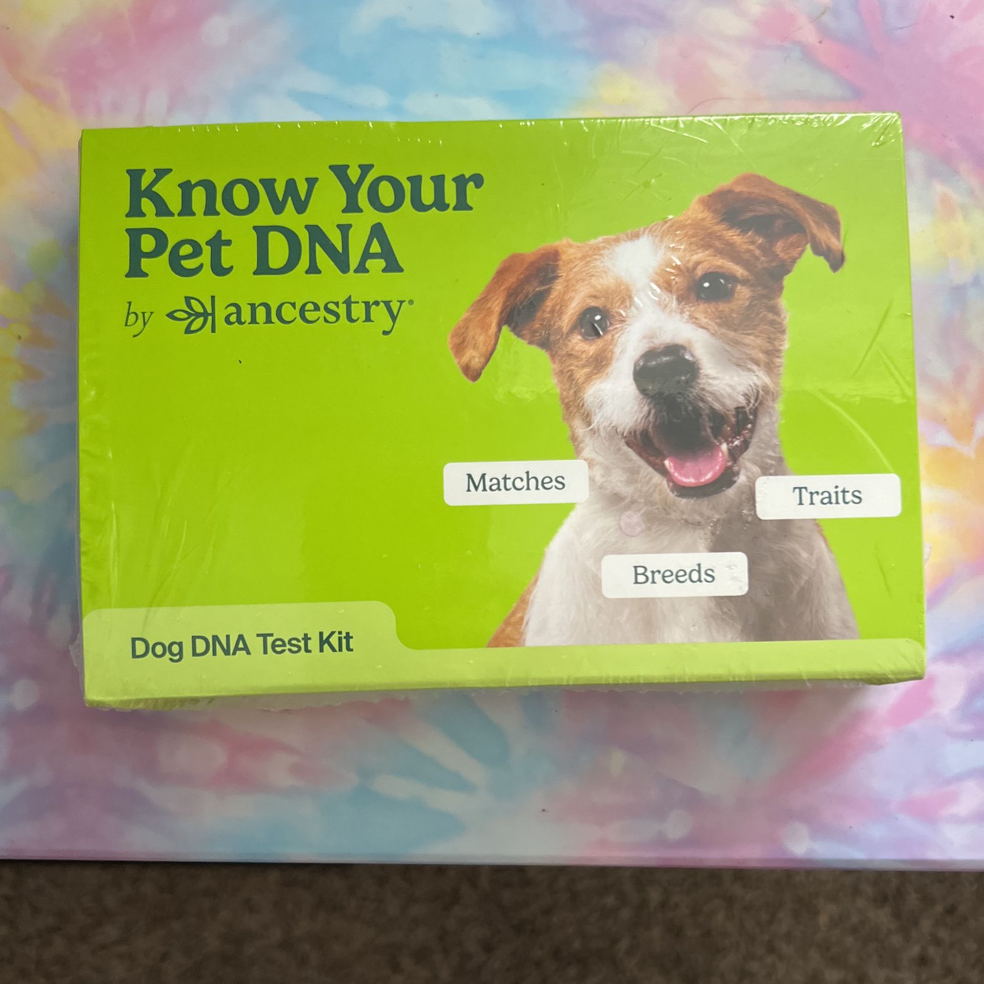 * NEW * Ancestry Dog DNA test Kit  