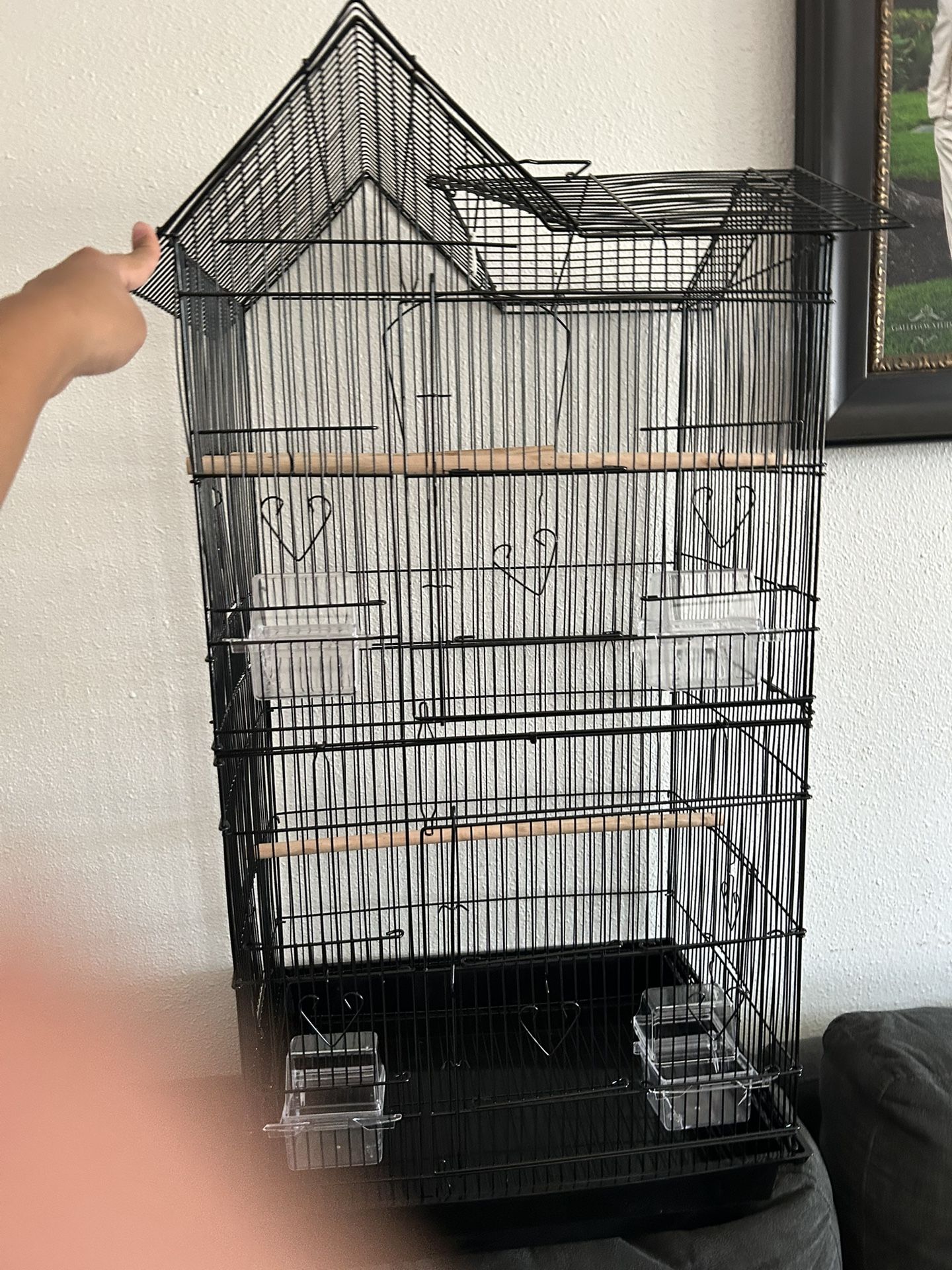 Bird Cage