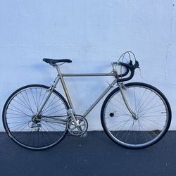 Men's Vintage Road Bike (21")