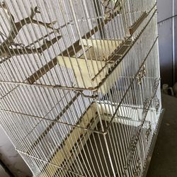 Big Bird Cage 