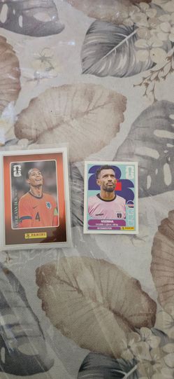 Sticker panini worl cup 2026 voz inhalador
