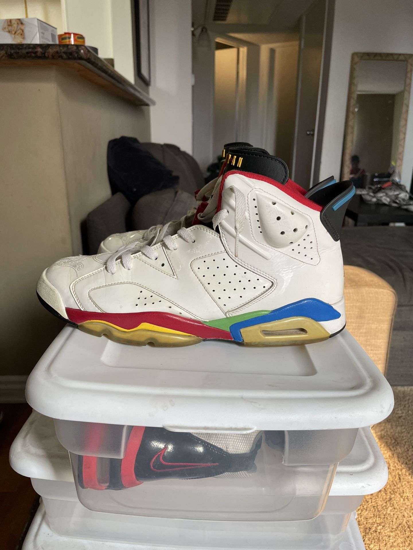 Jordan 6 Retro Rainbow Sz 12