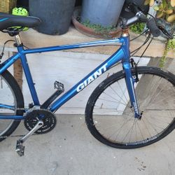 Giant Bike For Sale