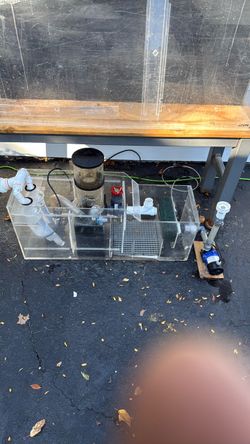 Aquarium Sump with Protein Skimmer and Return Pump