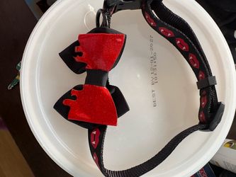 New. Medium size pet collar