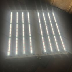 Grow Light Fohse 900 New