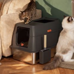 Xl high sided enclosed litter box (q17)